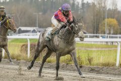 20251102-153249-DSC9981