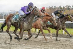 20251102-153251-DSC9987