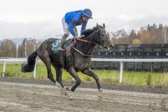 20251102-153252-DSC9988