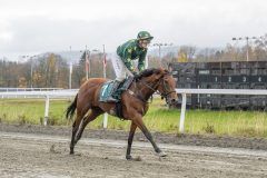 20251102-153253-DSC9993