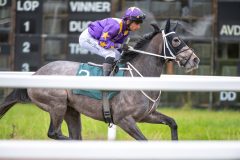 20251102-154945-DSC_1687