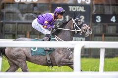 20251102-154945-DSC_1689