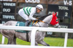 20251102-154952-DSC_1712