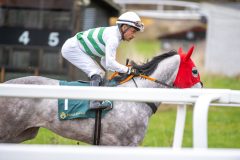 20251102-154952-DSC_1717