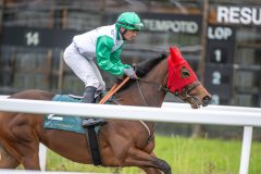 20251102-154957-DSC_1731