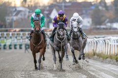 20251102-155440-DSC_1842