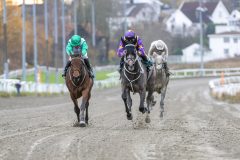 20251102-155607-DSC_1915