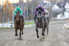 20251102-155608-DSC_1931