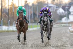 20251102-155609-DSC_1941