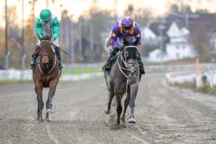 20251102-155610-DSC_1955