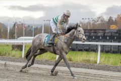 20251102-155629-DSC0142