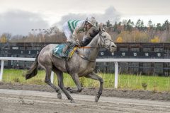 20251102-155629-DSC0144