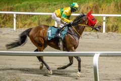 20251106-184450-DSC_4273