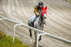 20251106-184520-DSC_4283