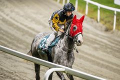 20251106-184521-DSC_4294