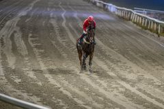 20251106-184632-DSC_4327