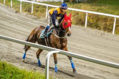 20251106-184637-DSC_4374