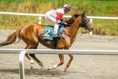 20251106-191306-DSC_4617