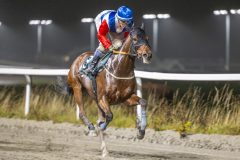 20251106-191736-DSC_4627