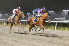 20251106-191737-DSC_4637