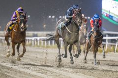 20251106-191908-DSC_4691