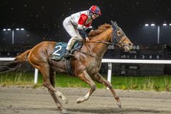 20251106-191911-DSC_4739