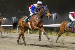 20251106-194225-DSC_4814