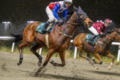 20251106-194225-DSC_4819