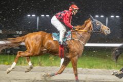 20251106-194226-DSC_4835