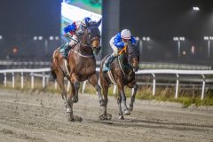 20251106-194351-DSC_4859