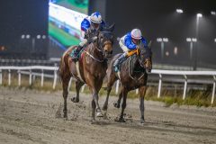 20251106-194351-DSC_4862