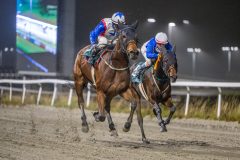 20251106-194352-DSC_4867