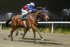 20251106-194353-DSC_4883