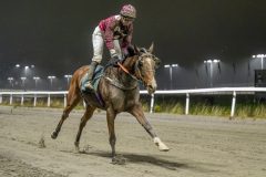 20251106-194354-DSC_4903