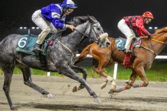 20251106-194357-DSC_4938