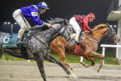 20251106-194357-DSC_4940