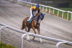 20251106-200022-DSC_5072