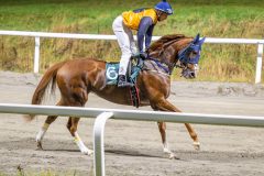 20251106-200025-DSC_5101