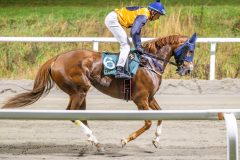 20251106-200026-DSC_5108