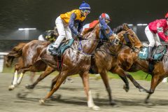 20251106-200754-DSC_5176