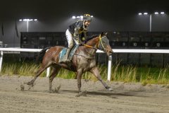 20251106-200922-DSC_5226