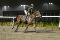 20251106-200922-DSC_5227