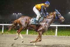 20251106-200925-DSC_5269