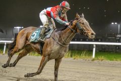 20251106-200926-DSC_5283