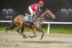 20251106-200927-DSC_5297