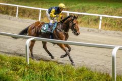 20251106-202542-DSC_5335