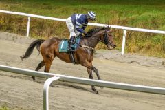 20251106-202553-DSC_5362