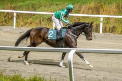 20251106-202604-DSC_5404