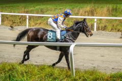 20251106-202634-DSC_5491