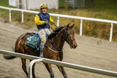 20251106-205103-DSC_5683